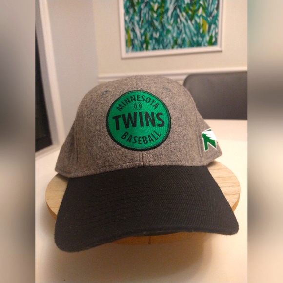 Minnesota Twins Baseball Cap - Picture 1 of 6